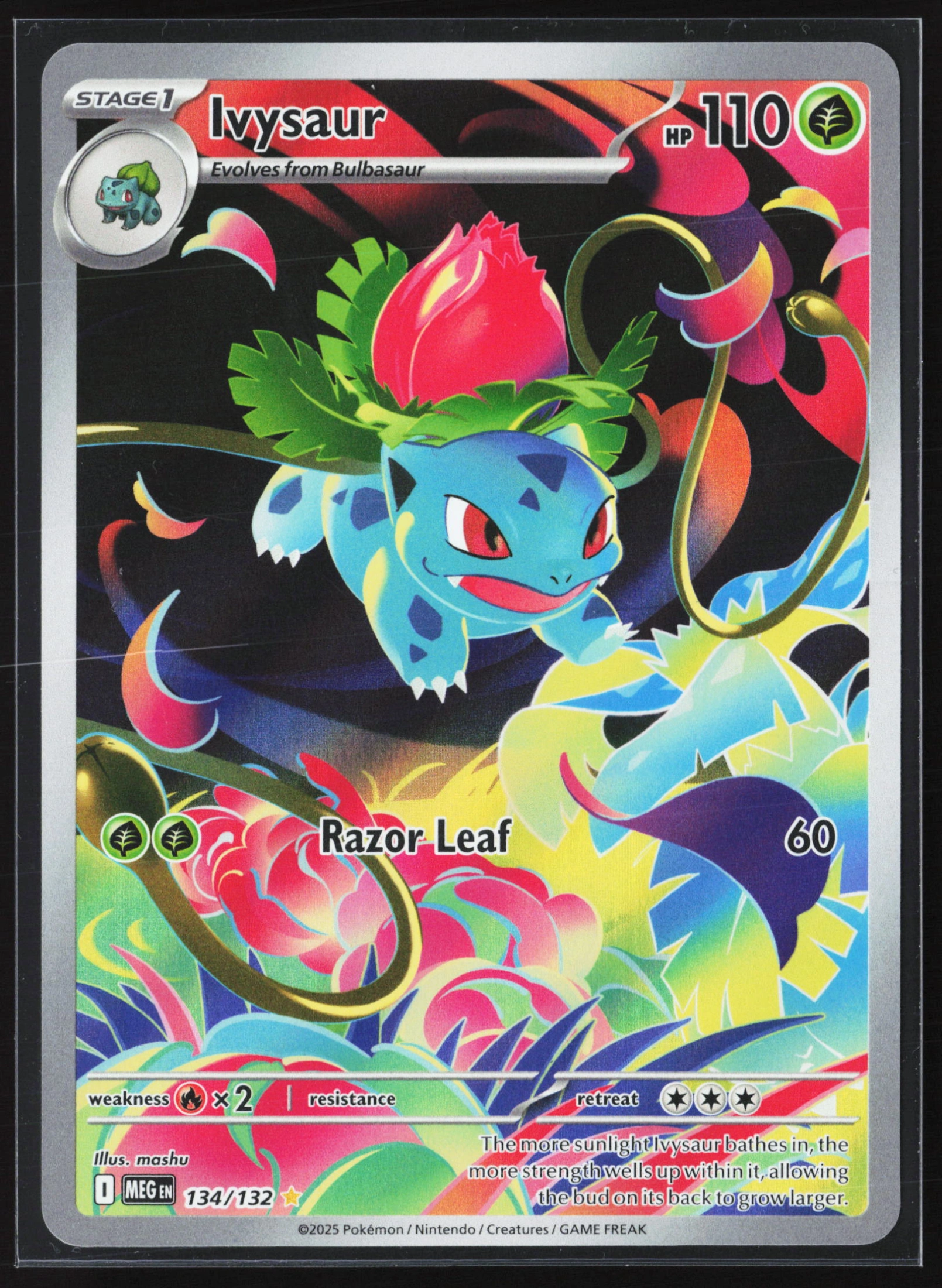 Ivysaur (MEG 134) — Voorkant