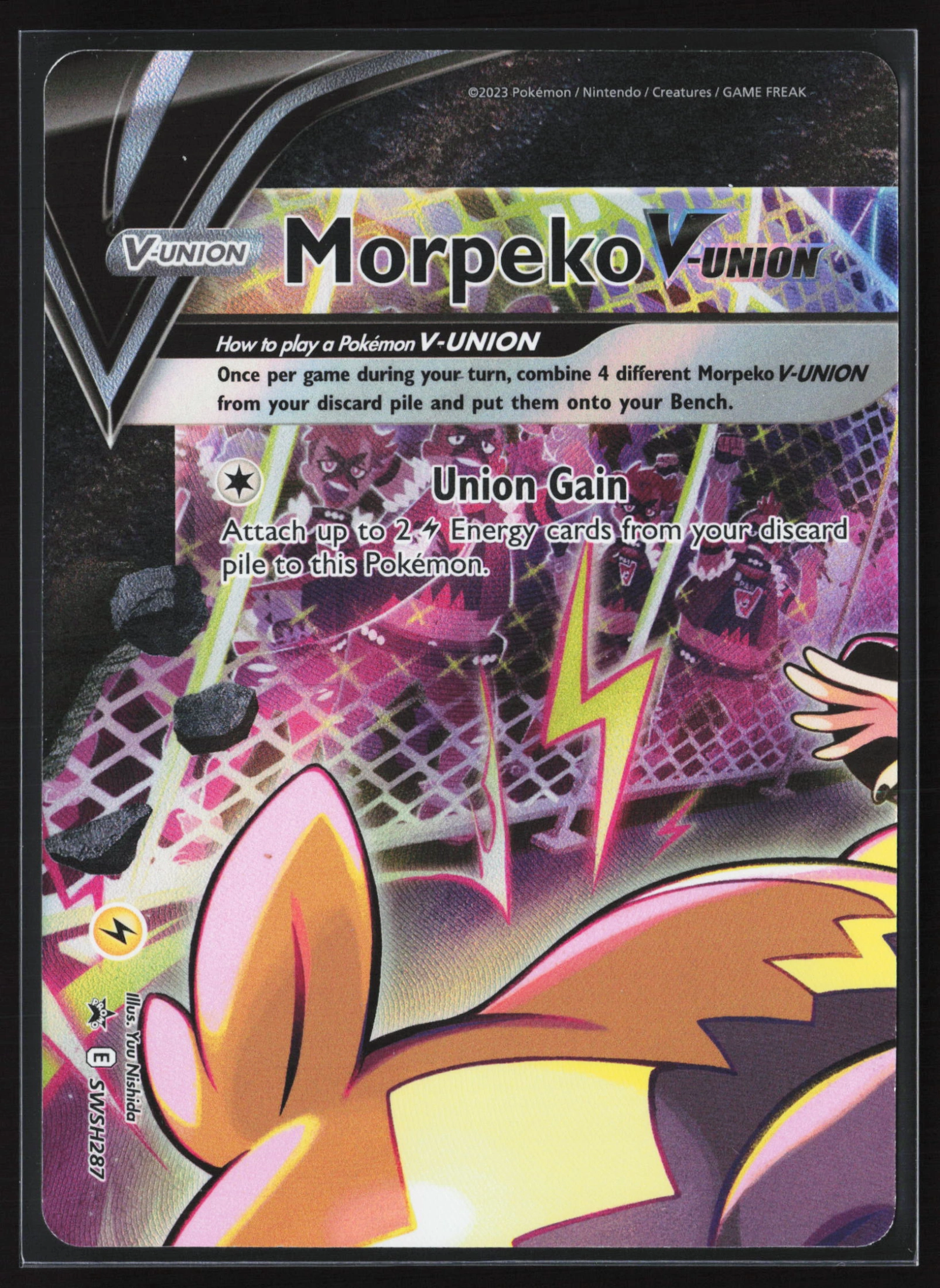 Morpeko V-UNION (PR-SW SWSH287) — Voorkant