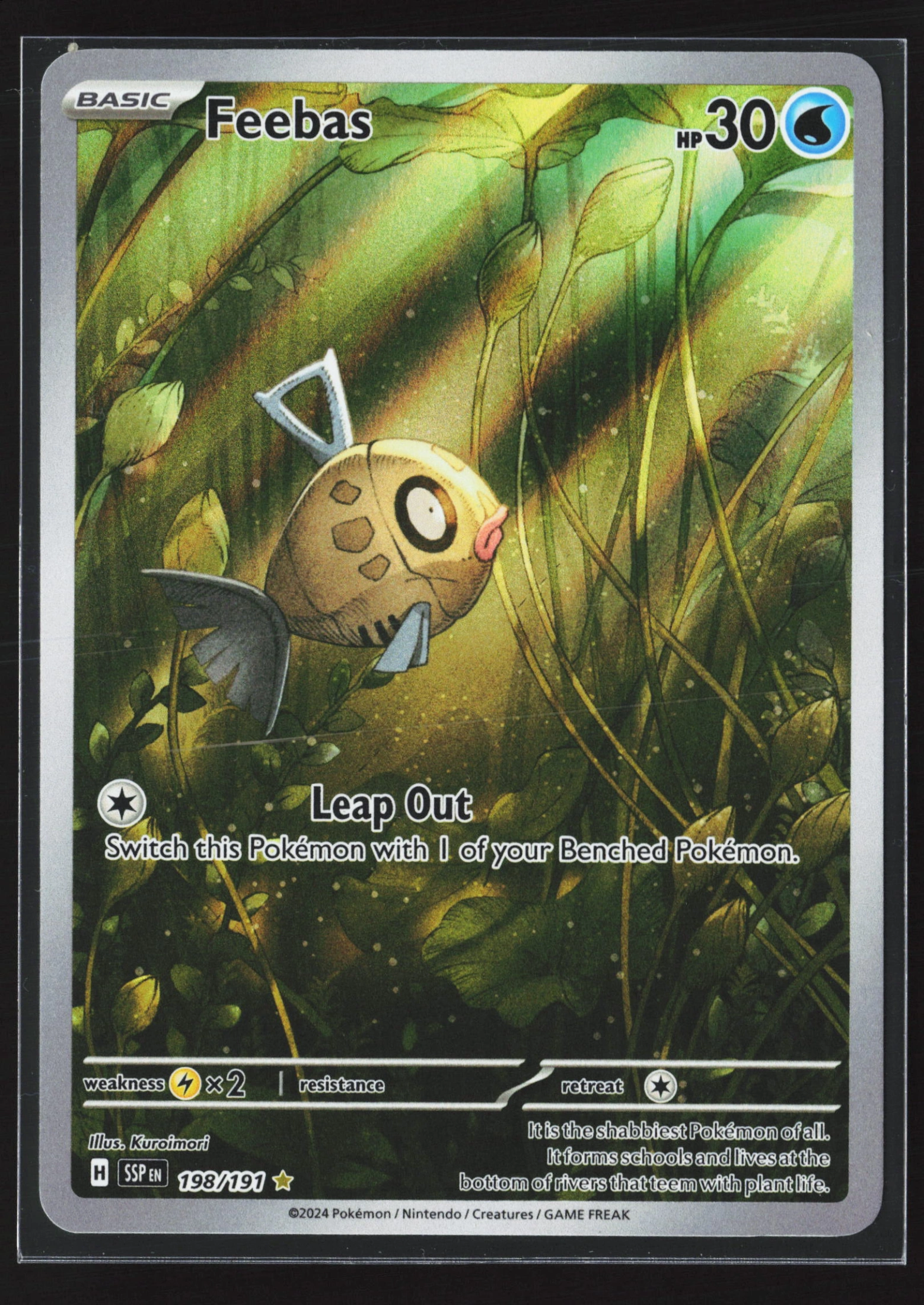 Feebas (SSP 198) — Voorkant