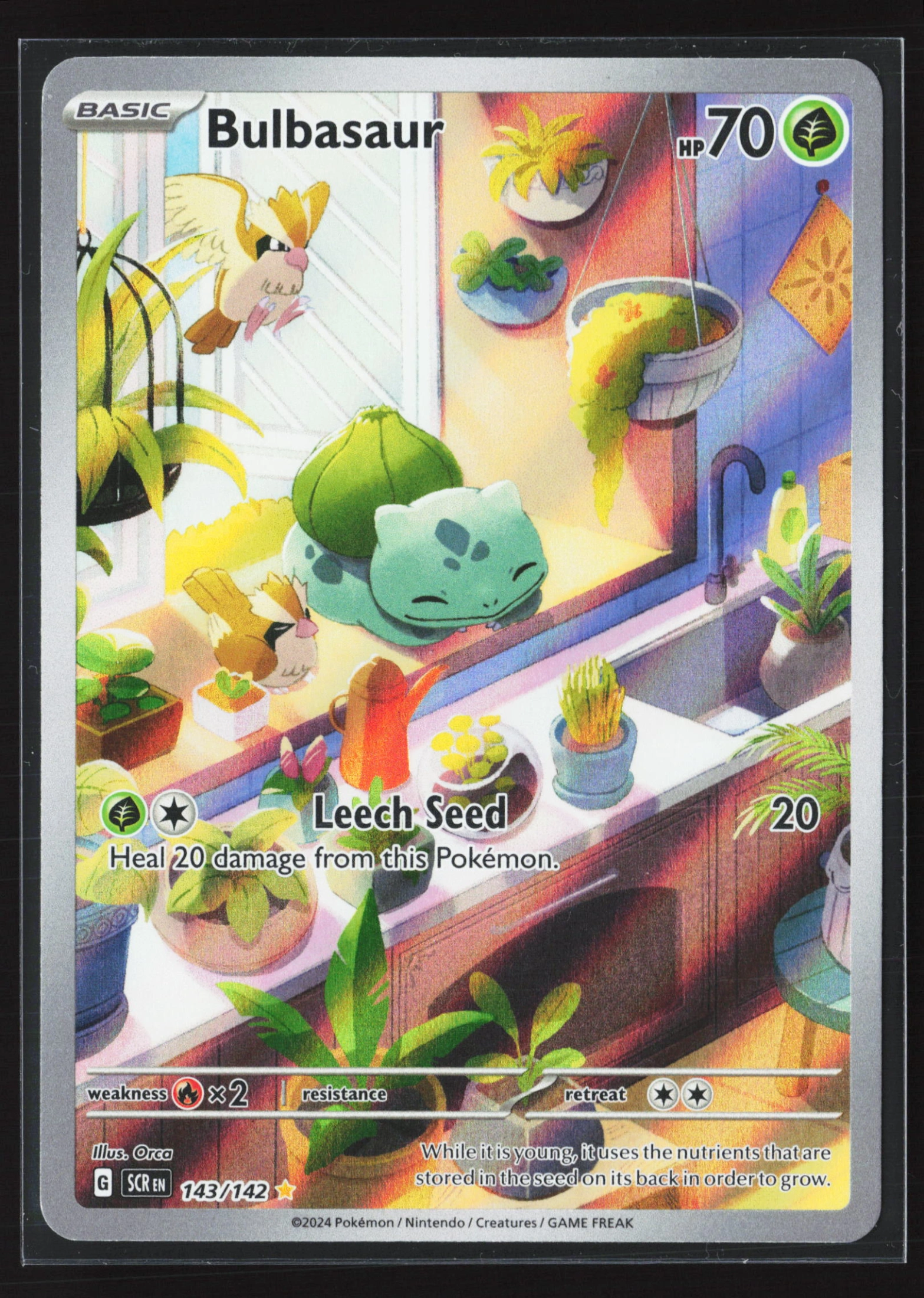 Bulbasaur (SCR 143) — Voorkant