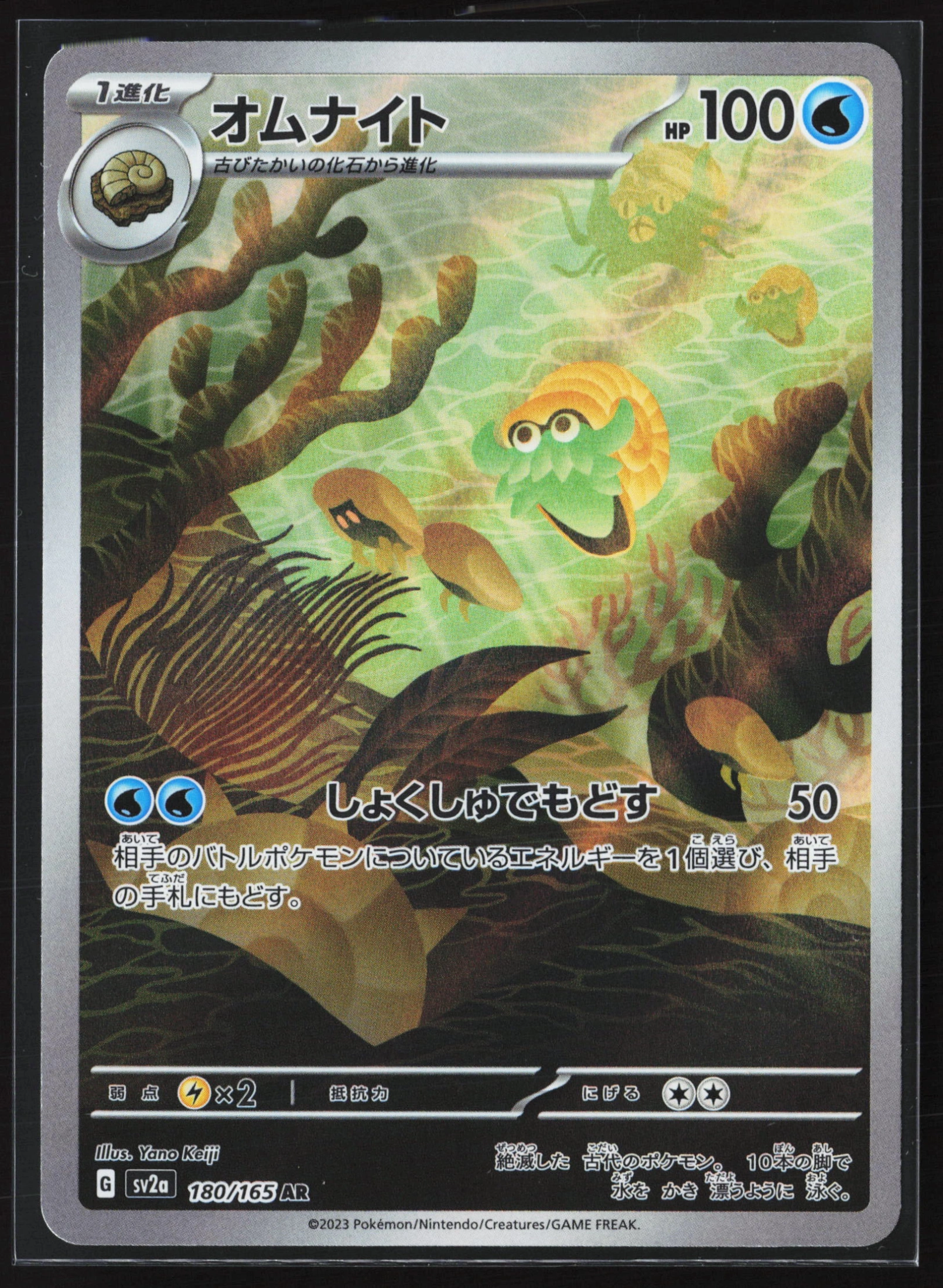 Omanyte (SV2A 180) — Voorkant