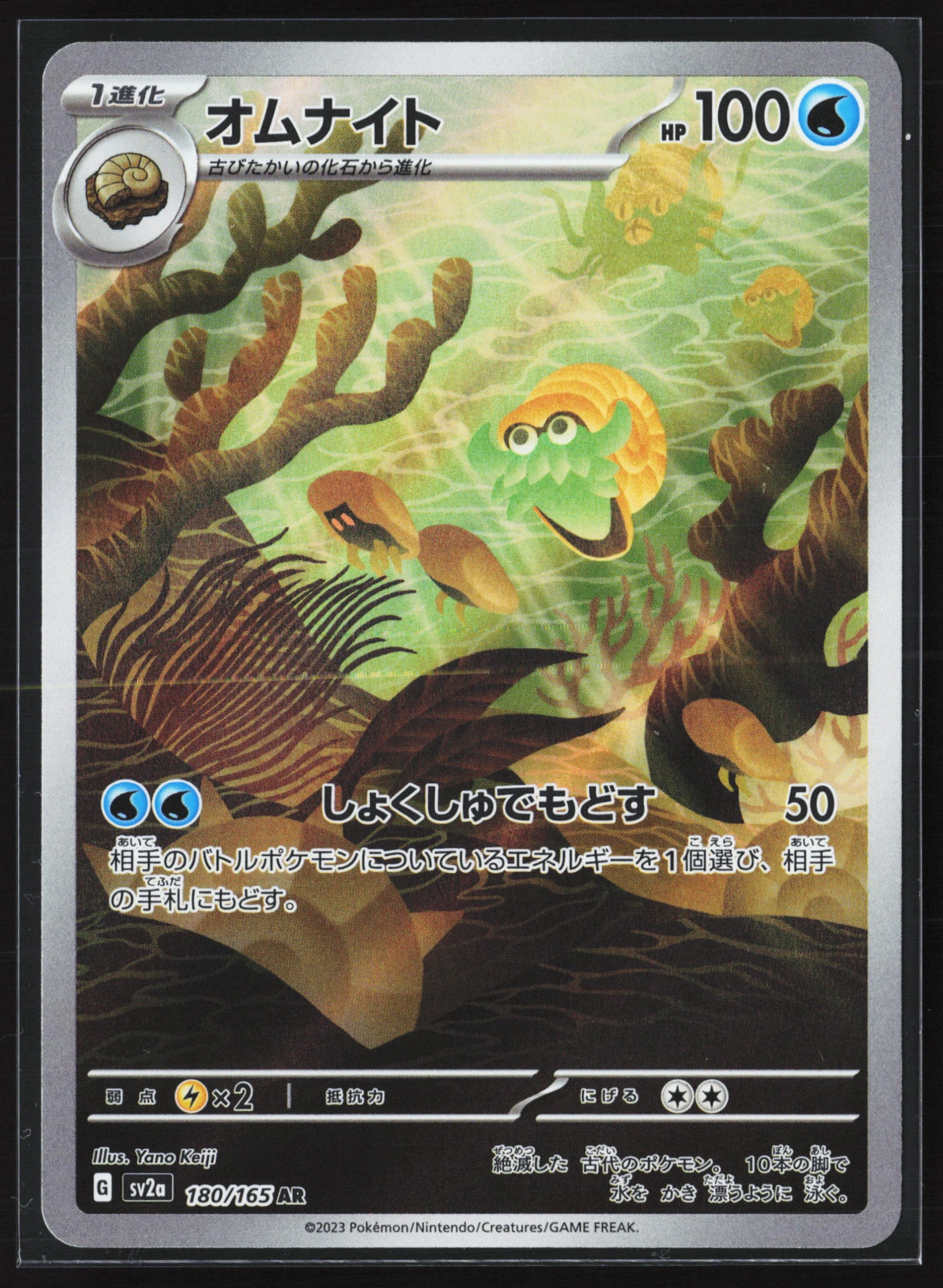 Omanyte (SV2A 180) — Voorkant