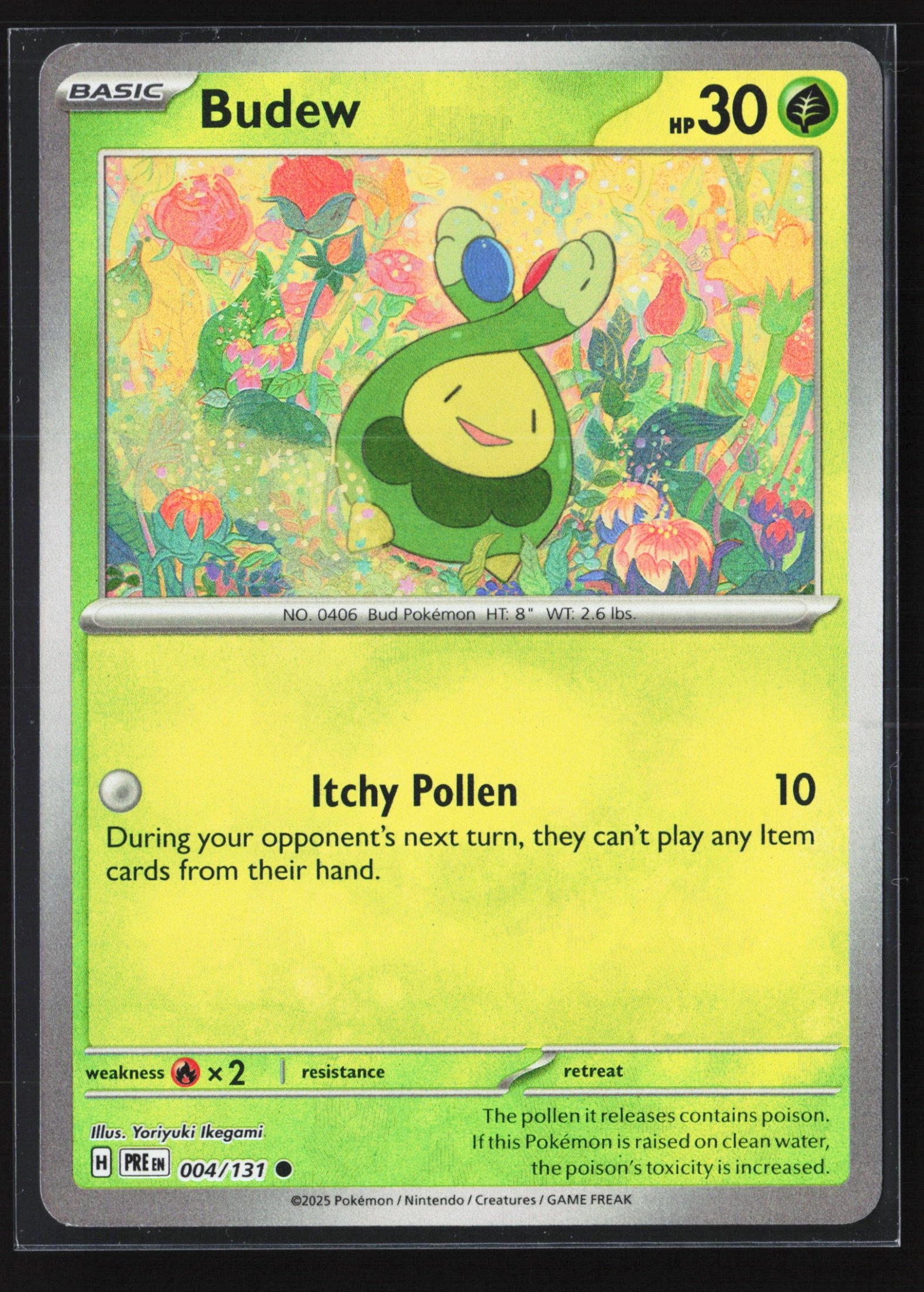 Budew (PRE 004) — Voorkant