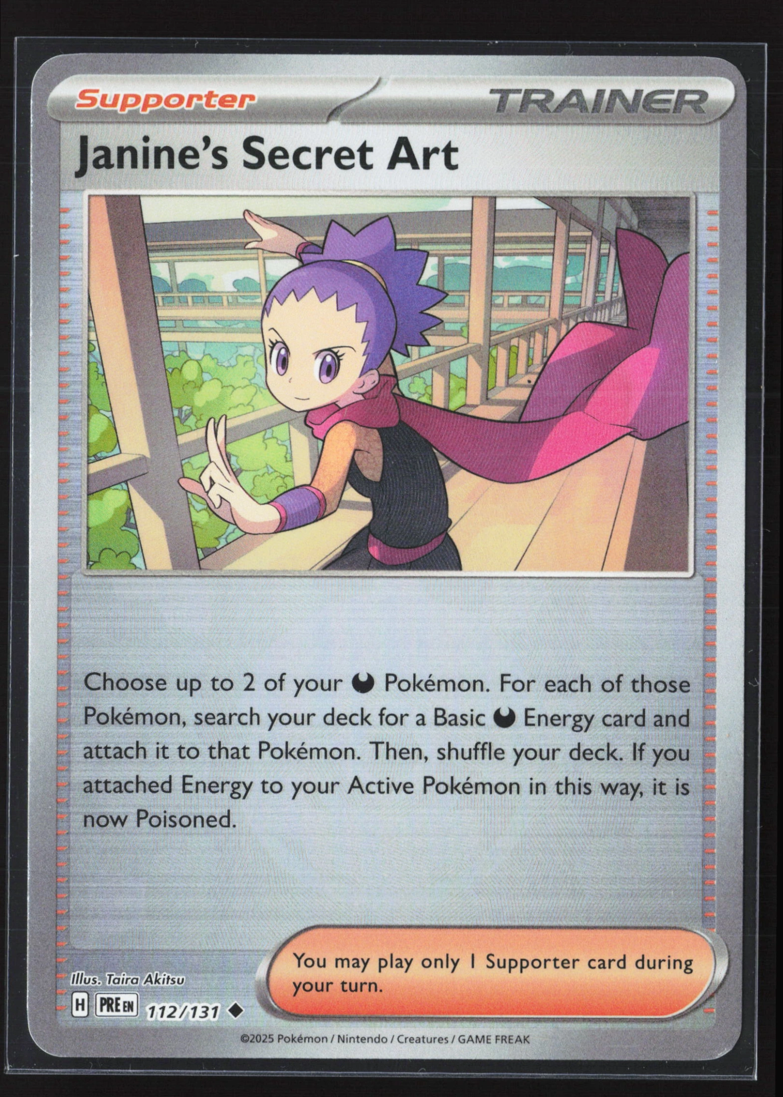 Janine's Secret Art (PRE 112) — Voorkant