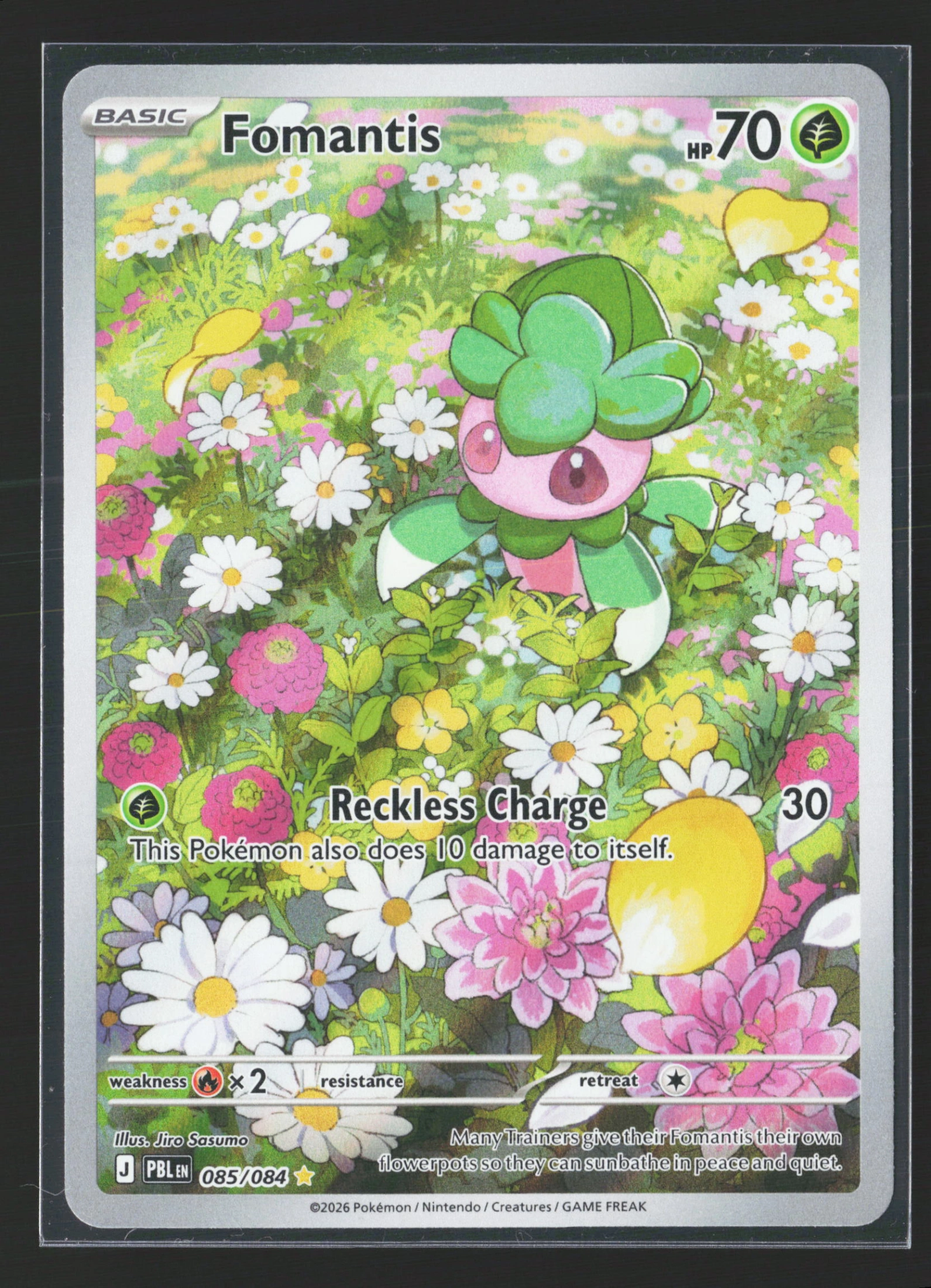 Fomantis (PBL 085) — Voorkant