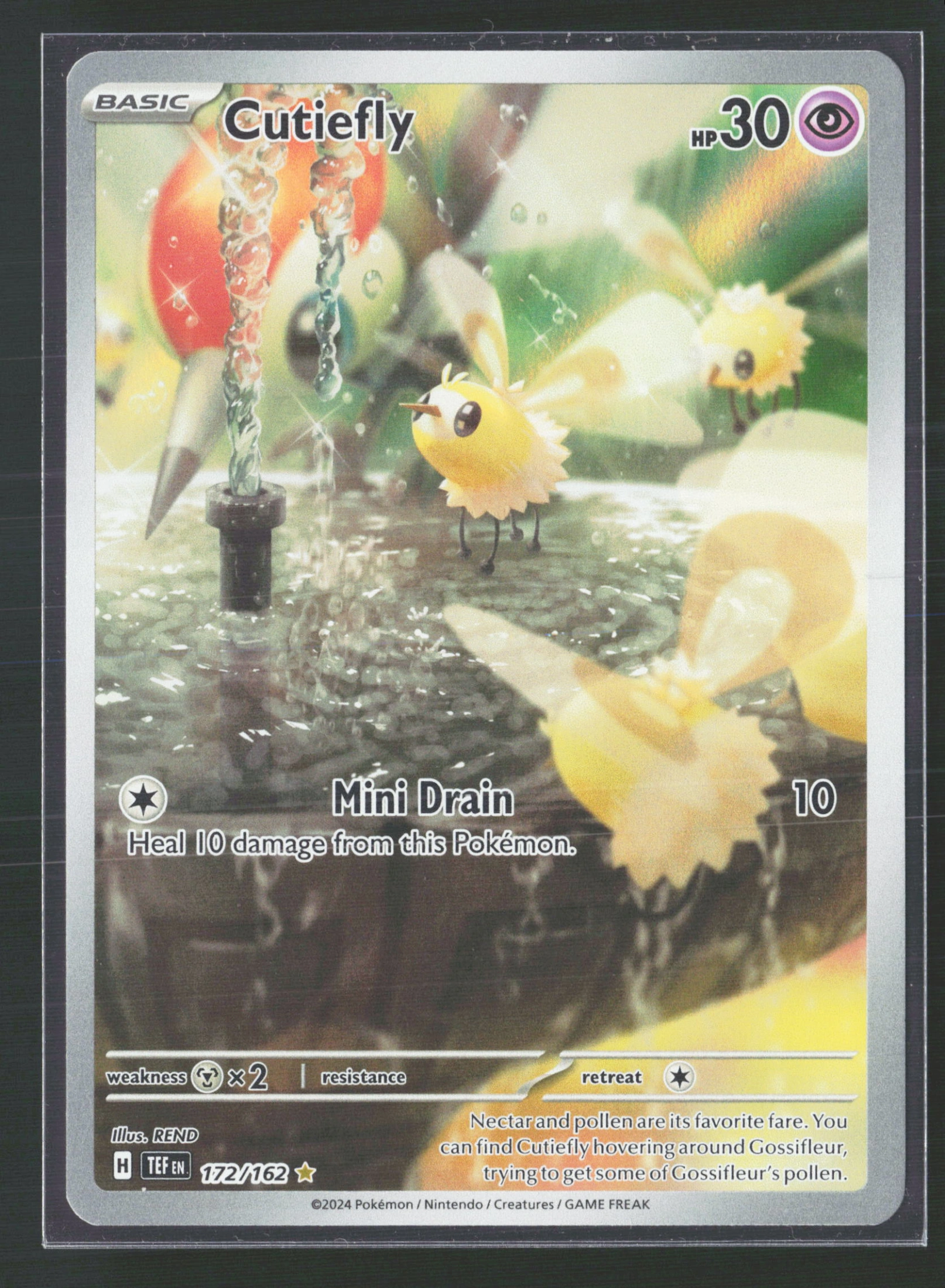 Cutiefly (TEF 172) — Voorkant
