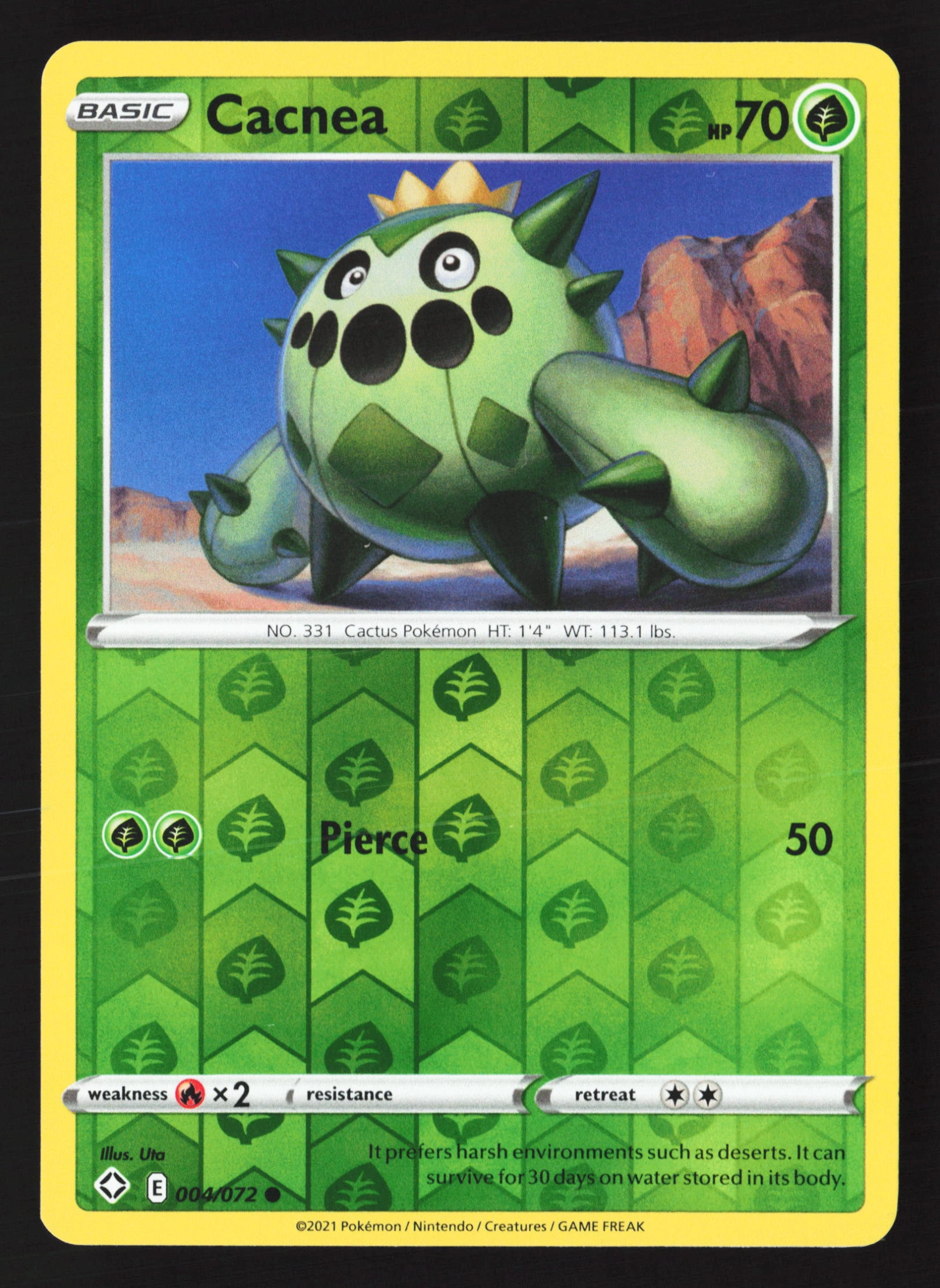 Cacnea (SHF 004) — Voorkant