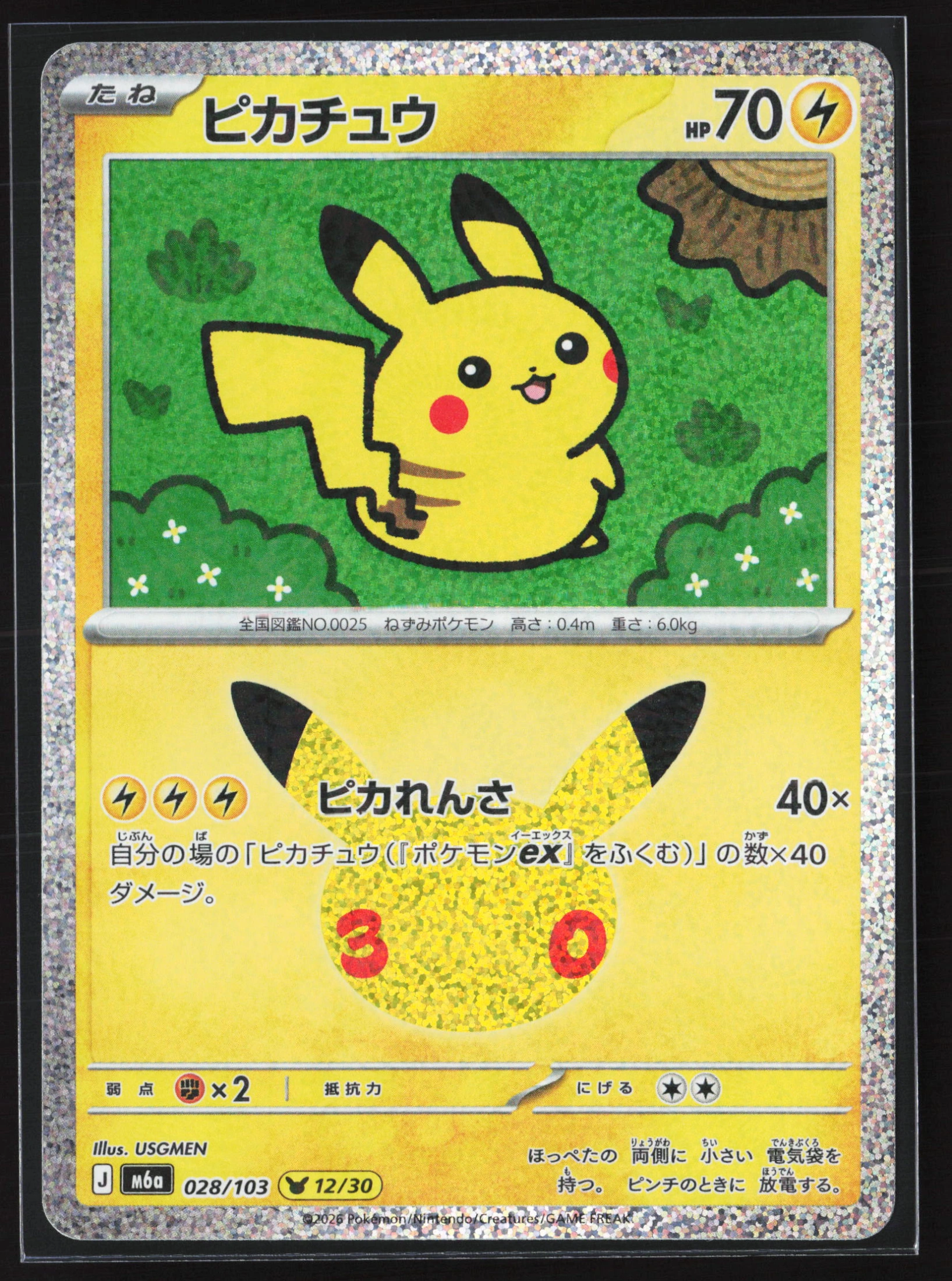 Pikachu (M6A 028) — Voorkant