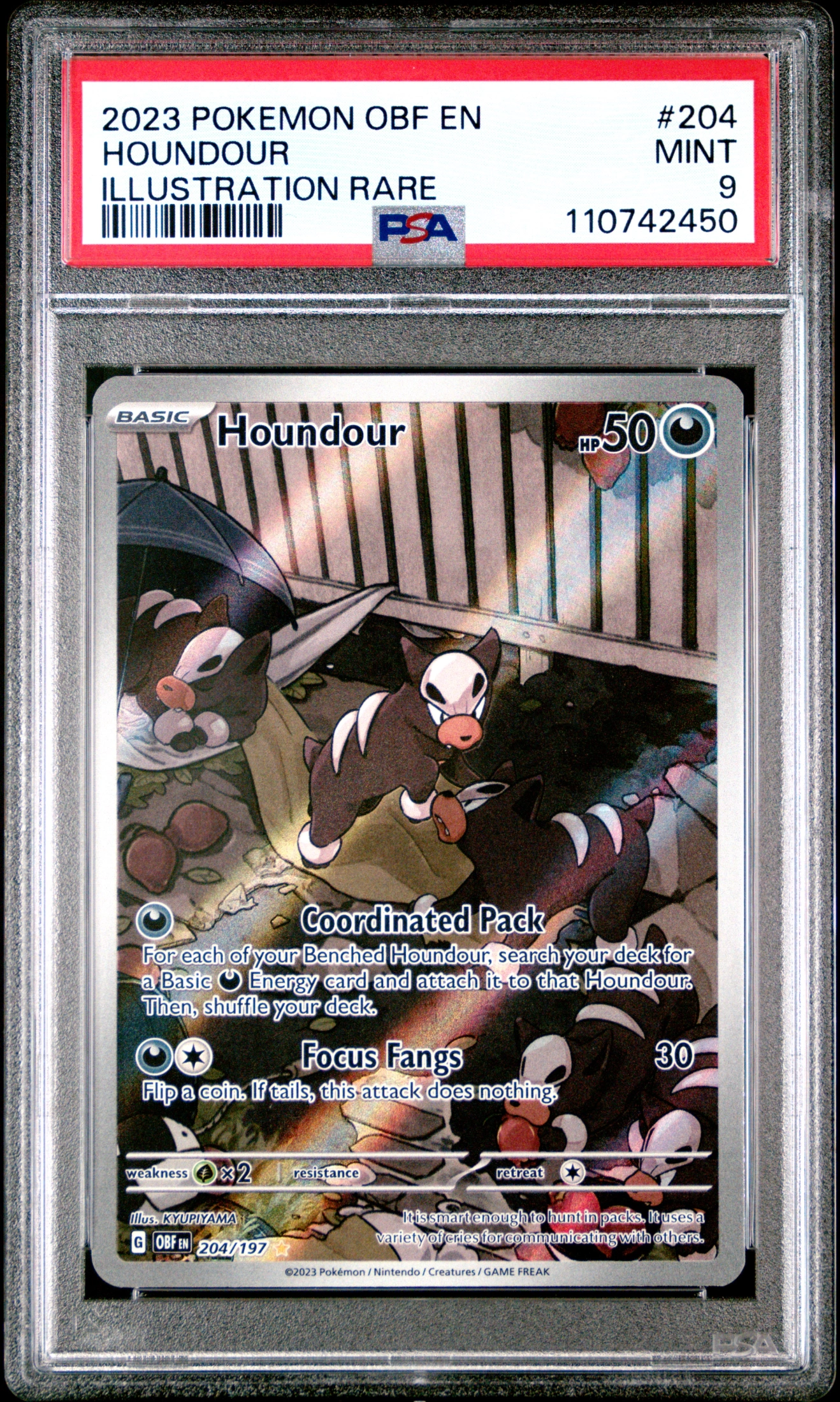 Houndour (OBF 204) — Voorkant