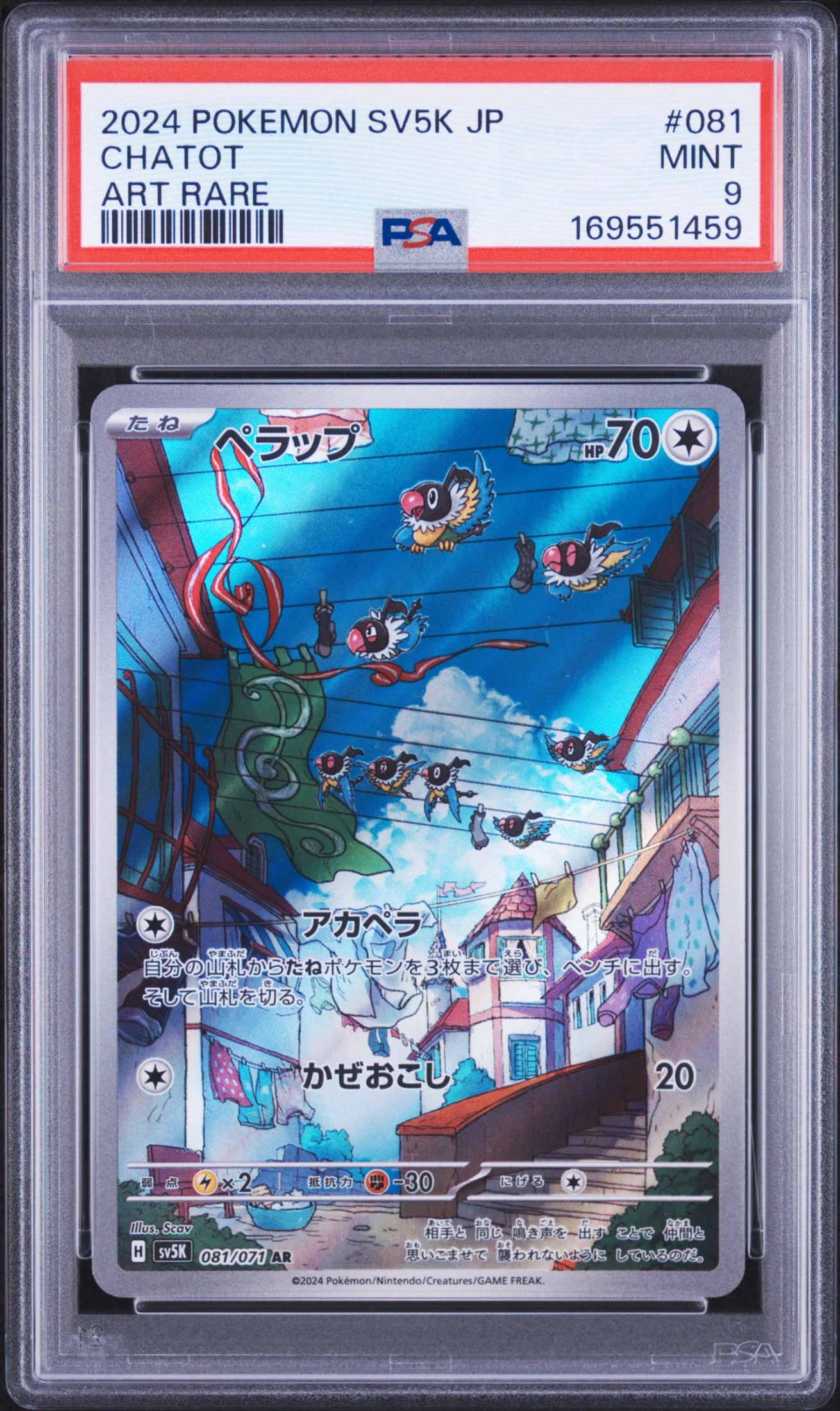 Chatot (SV5K 081) — Voorkant