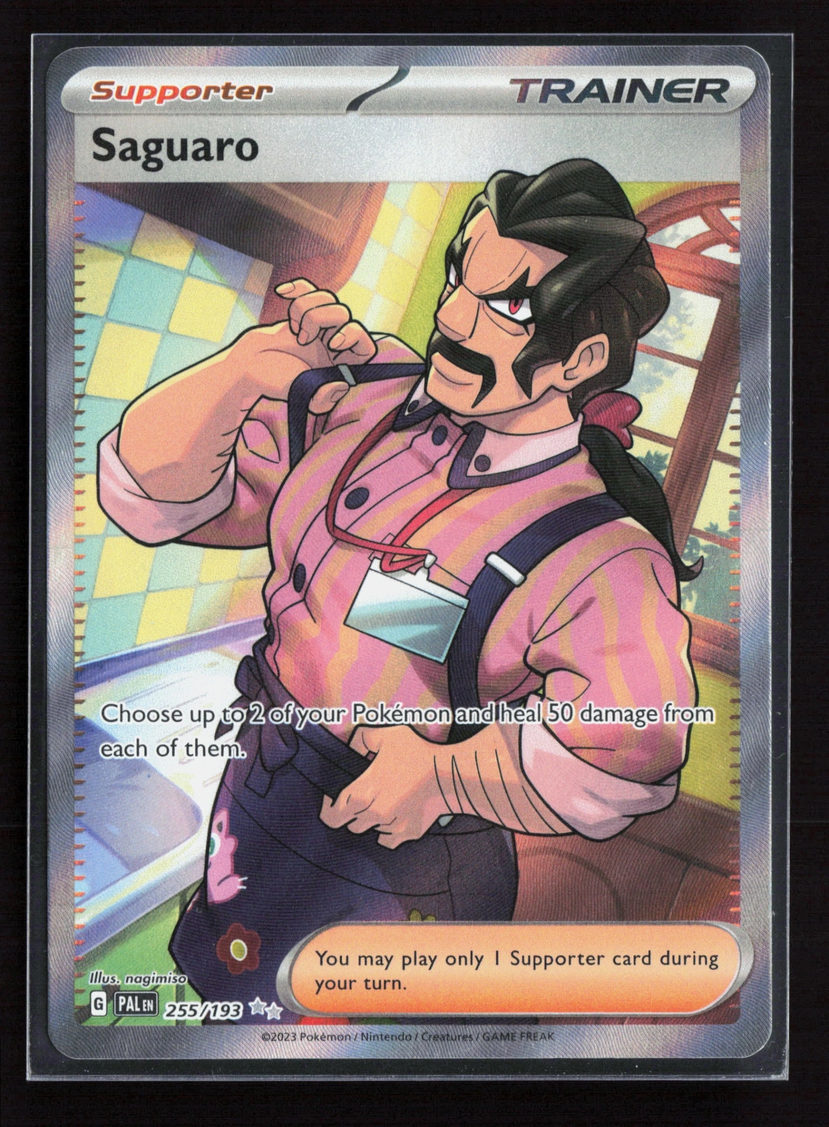Saguaro (PAL 255) — Voorkant
