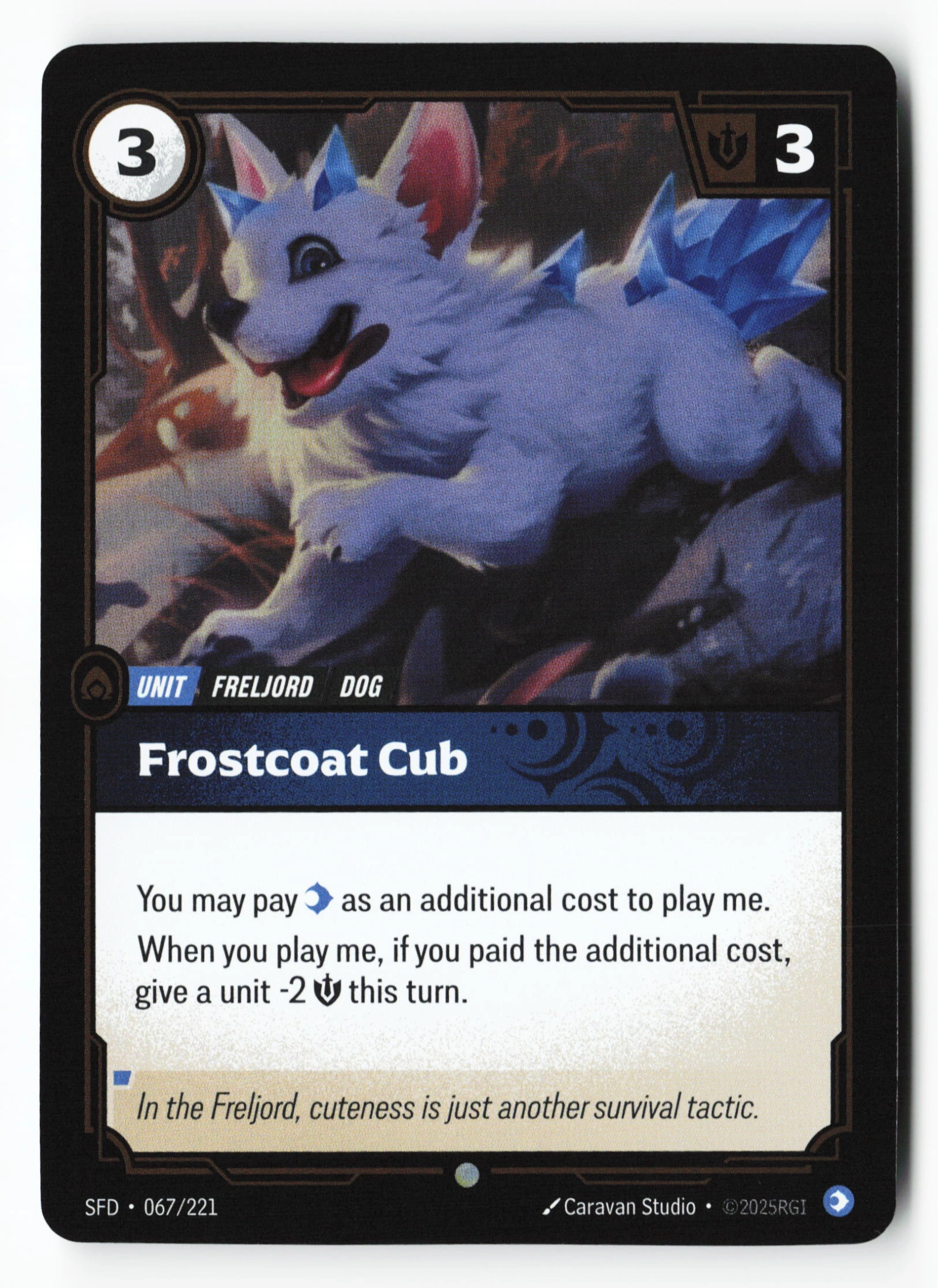 Frostcoat Cub (SFD 067) — Voorkant