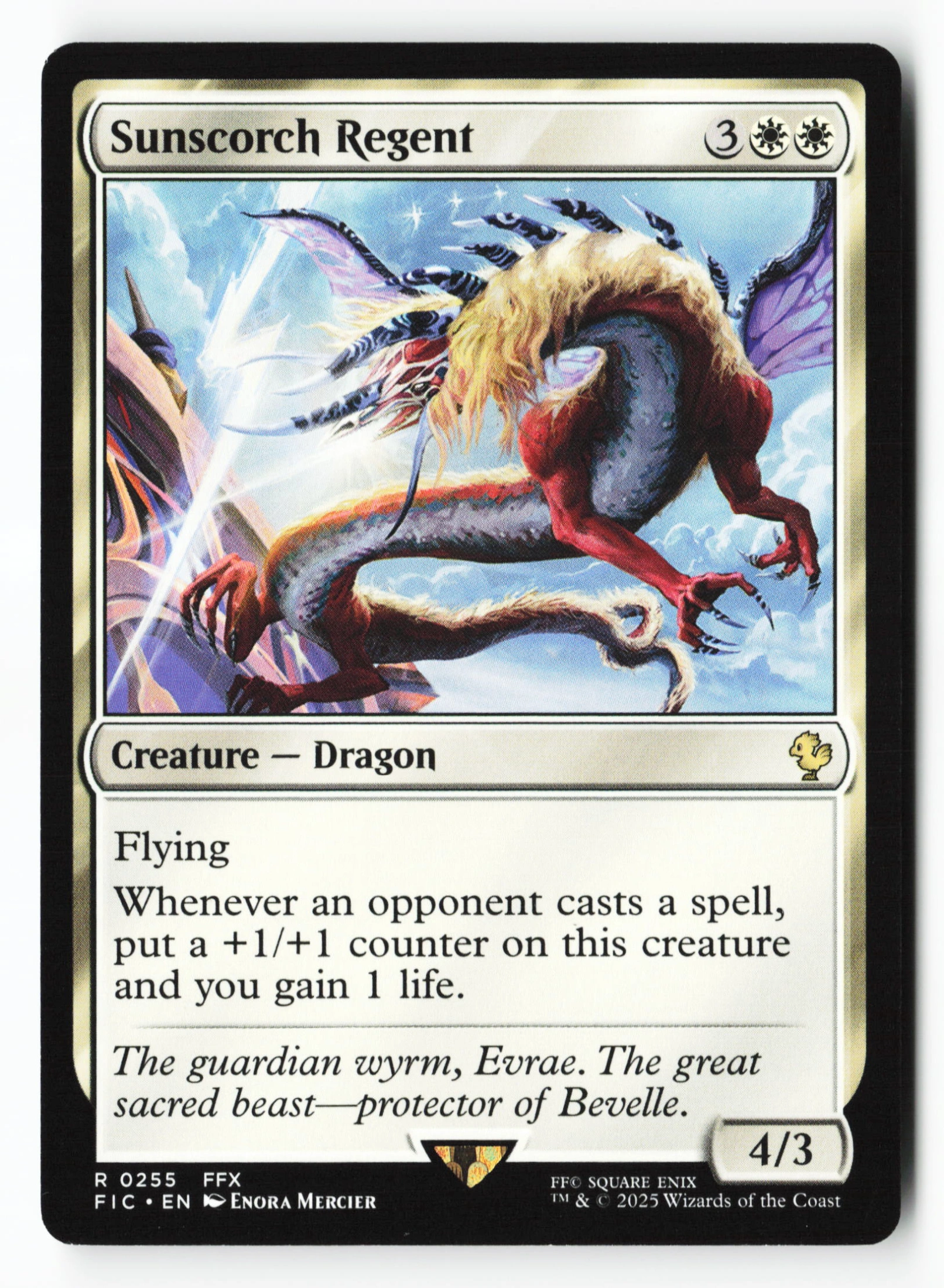 Sunscorch Regent (FIC 255) — Voorkant
