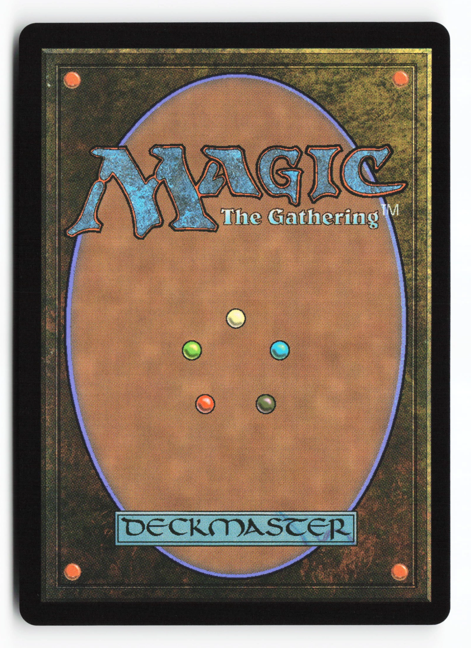 Sunscorch Regent (FIC 255) — Achterkant