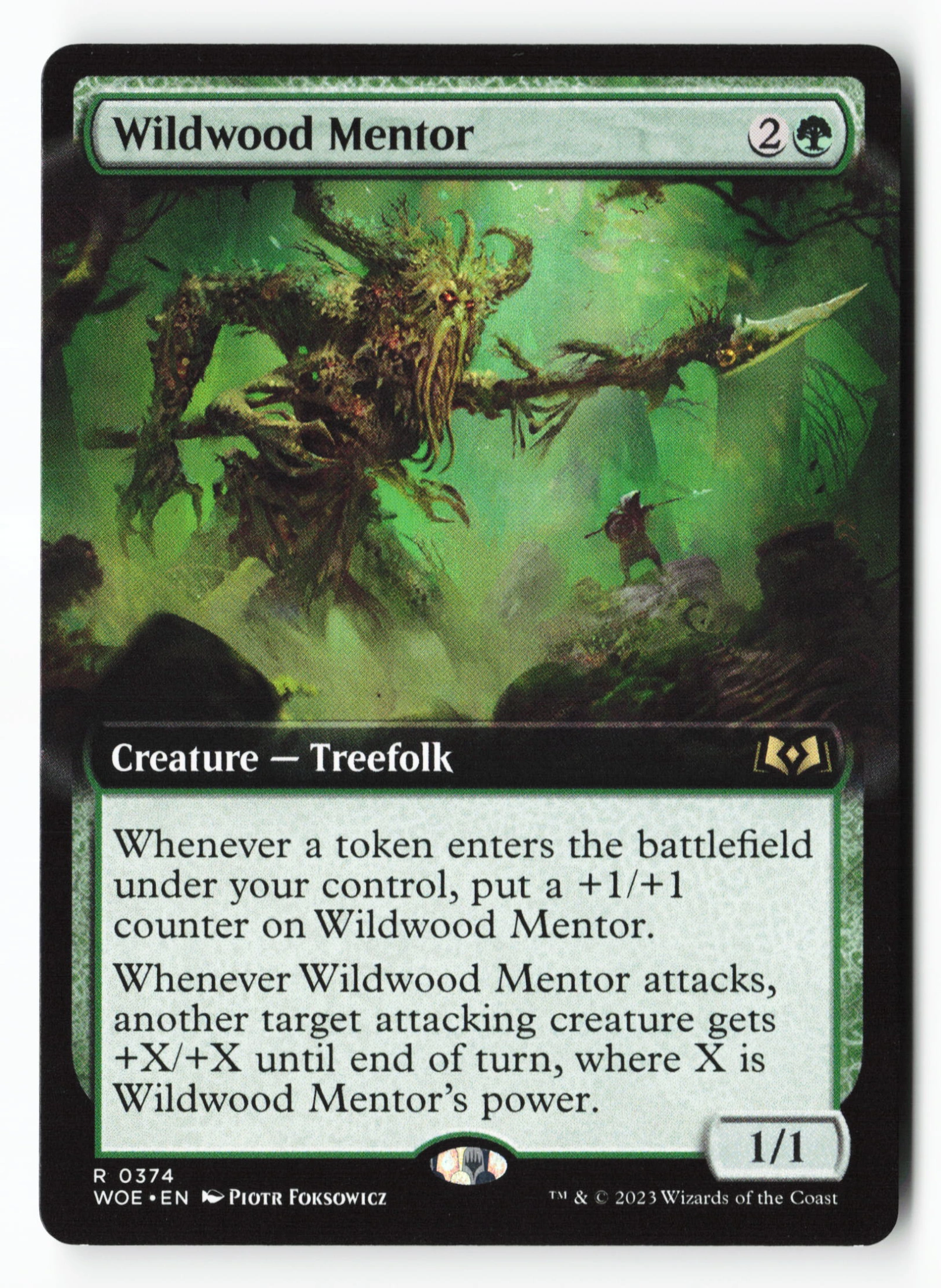 Wildwood Mentor (WOE 374) — Voorkant