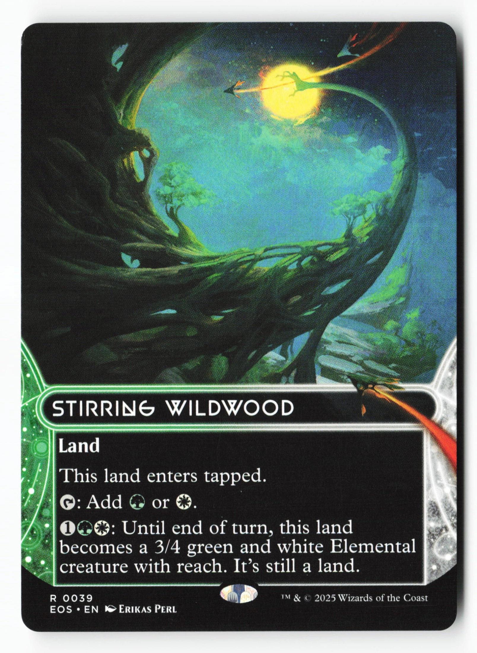 Stirring Wildwood (EOS 039) — Voorkant