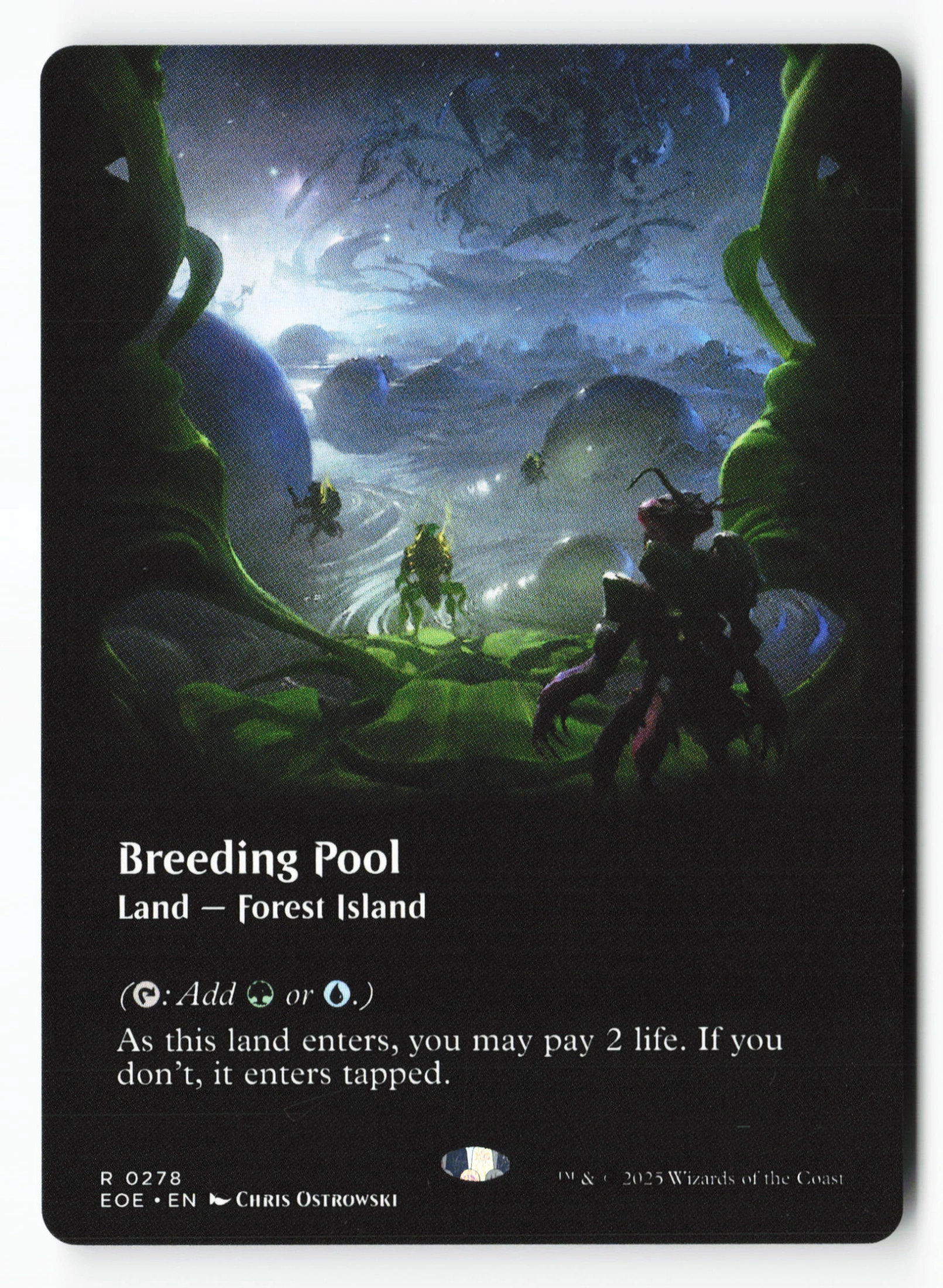 Breeding Pool (EOE 278) — Voorkant