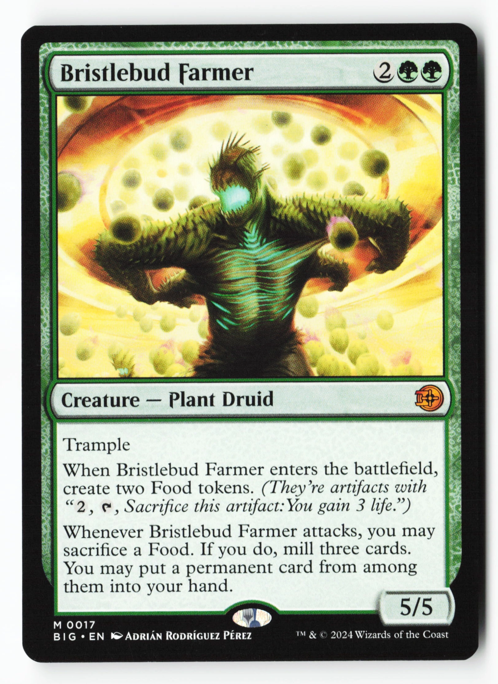 Bristlebud Farmer (BIG 017) — Voorkant