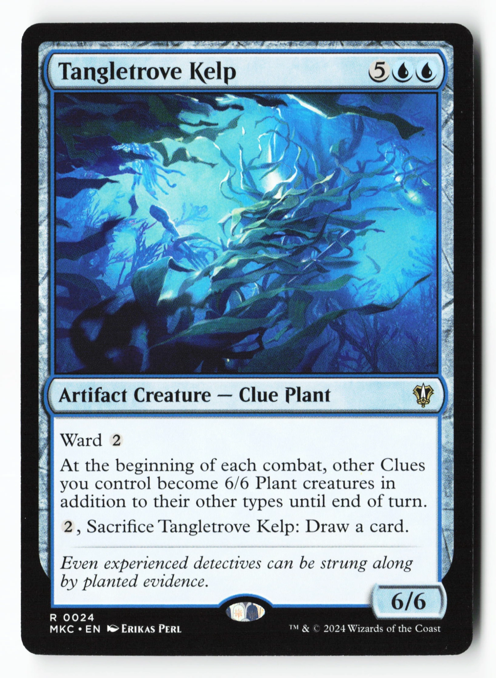 Tangletrove Kelp (MKC 024) — Voorkant