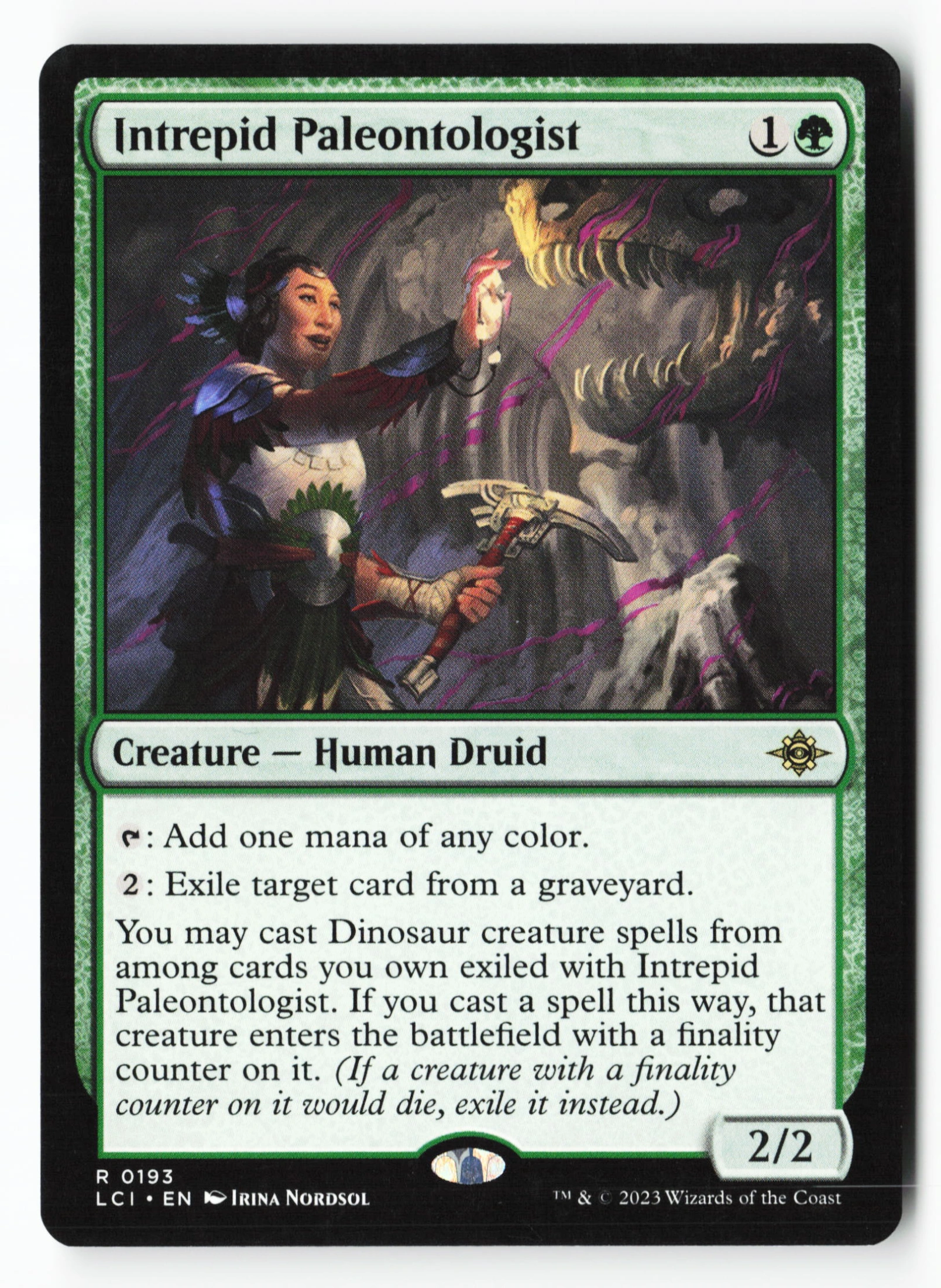 Intrepid Paleontologist (LCI 193) — Voorkant