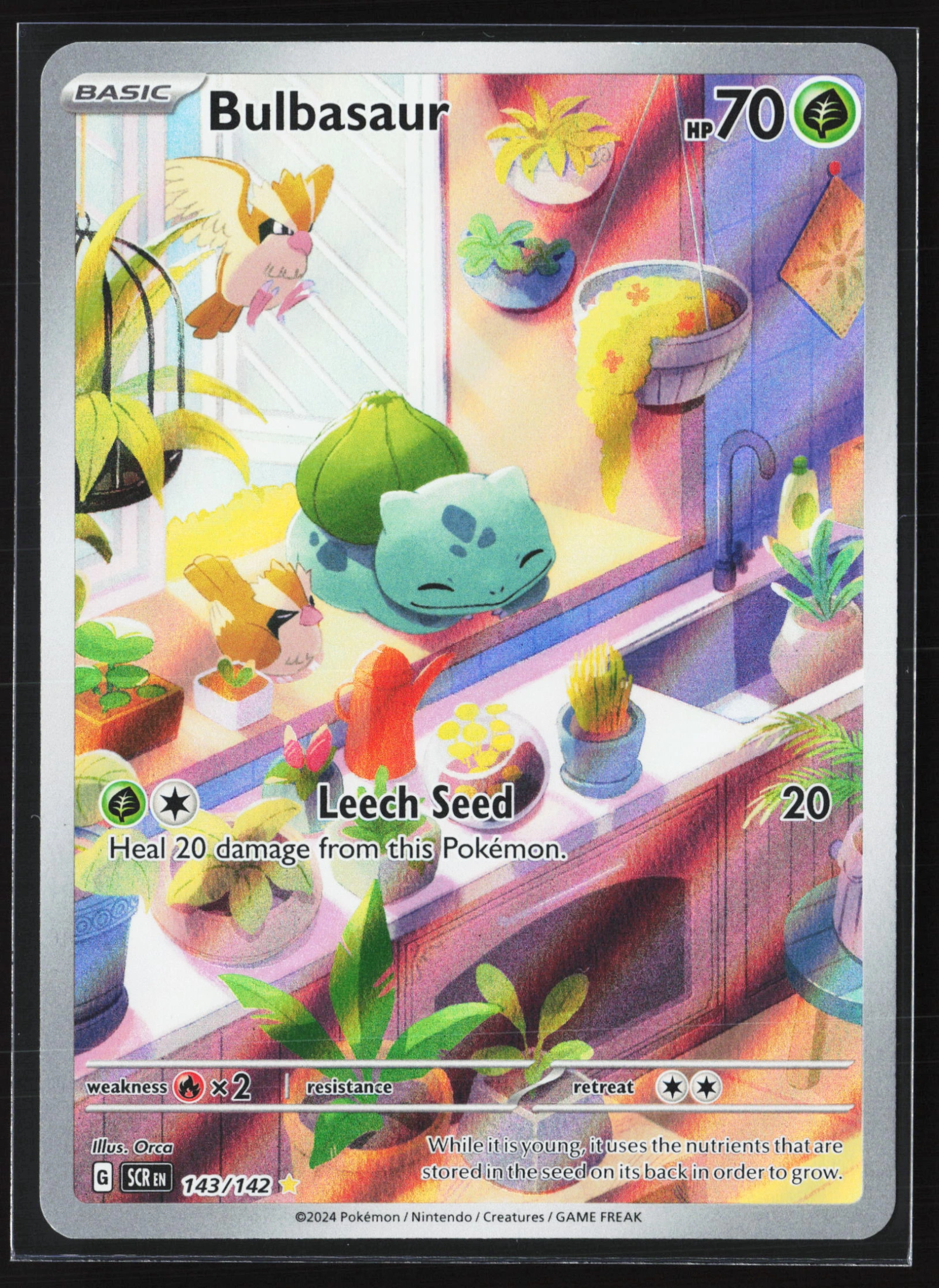 Bulbasaur (SCR 143) — Voorkant