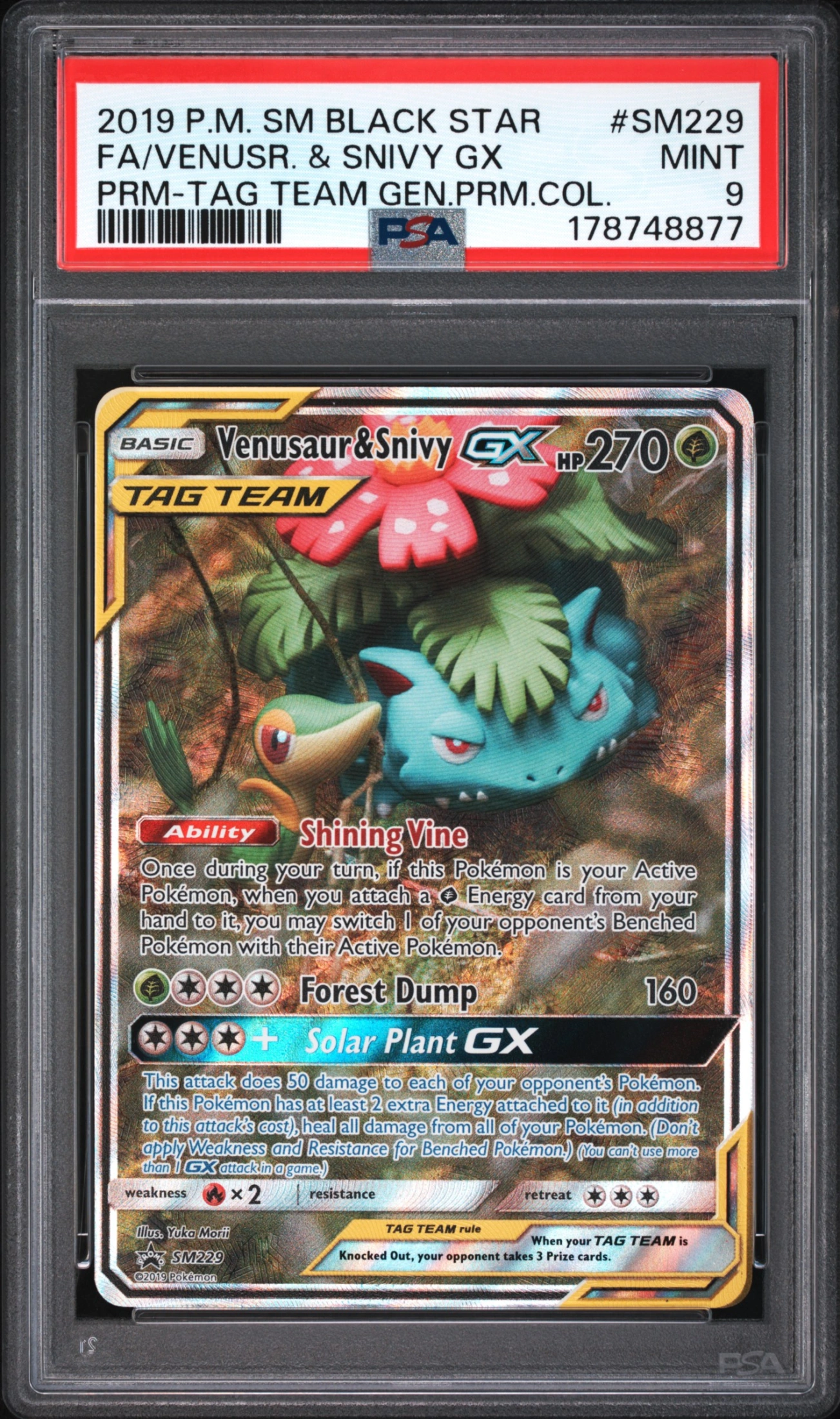 Venusaur & Snivy-GX (PR-SM SM229) — Voorkant